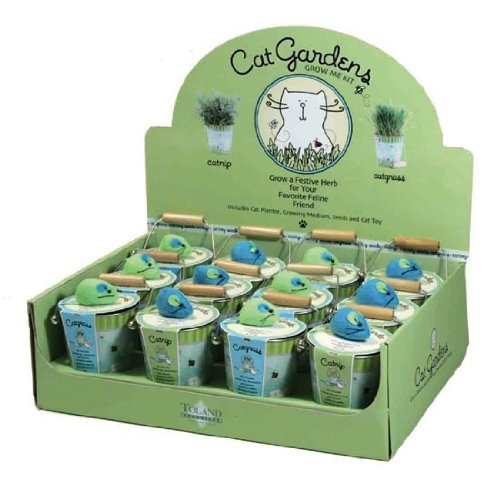 Cat Garden Assortment