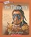 The Timucua (True Books)