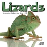 Eigenschaften Avonside Publishing Ltd.  / Kalender 2009 Leguane - Leguan - Lizards