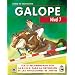 CURSO DE EQUITACION GALOPE. NIVEL 7 (Curso De Equitaci�n)
