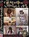 プリウス 便所の中のいやらしい指 4(DVD)[PU]ENOG-004
