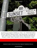 American Soap Operas, Vol. 15: The Beverly Hills 90210 Franchise Including a Look at the Original and the New 90210, Melrose Place, and the Short Lived Models, Inc.
