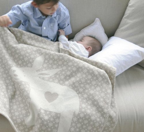 david fussenegger baby blanket