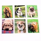 Doggie Pocket Memo Pad 6 Assorted