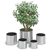 Blomus 66831 Blumentopf � 18 cm GREENS