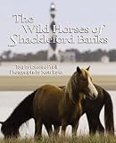 The Wild Horses of Shackleford Banks