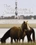 The Wild Horses of Shackleford Banks