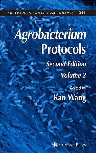 agrobacterium protocols volume ii methods in molecular biology