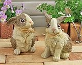 野川農園　ツインラビット　A/B　（２種セット）11094