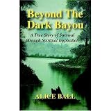 Beyond The Dark Bayou