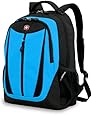 SwissGear Lightweight Feature Laptop Computer Backpack SA3077 (Black/Blue) Fits Most 15 Inch Laptops