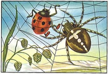 american indian stories plus old indian legends - zitkala sa