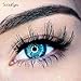 SocialEyes Vixen 6 Pack Bundle Cruelty Free Fake Eyelashes False Black