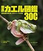 世界カエル図鑑300種