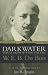 Book Darkwater: Voices from Within the Veil (Classics in Black Studies.)