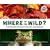 Where in the Wild?: Camouflaged Creatures Concealed... and Revealed