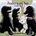 poodle21 - Poodles in the Park A Poodle Party