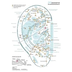 Ohrakupunktur. Arbeitsbuch. Schulen�bergreifender Leitfaden & konkrete Therapie-/Behandlungsanleitung f�r �rzte & Heilpraktiker.