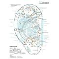 Ohrakupunktur. Arbeitsbuch. Schulen�bergreifender Leitfaden & konkrete Therapie-/Behandlungsanleitung f�r �rzte & Heilpraktiker.
