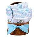 Bakset of Good Wishes Gift Basket - Blue