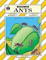 Ants : Thematic Unit