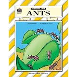 Ants:ThematicUnit