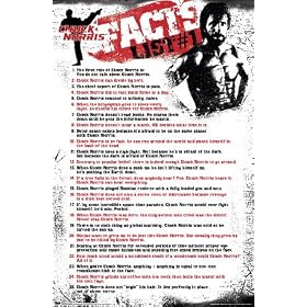 Chuck Norris Facts List #1 22x34 Poster