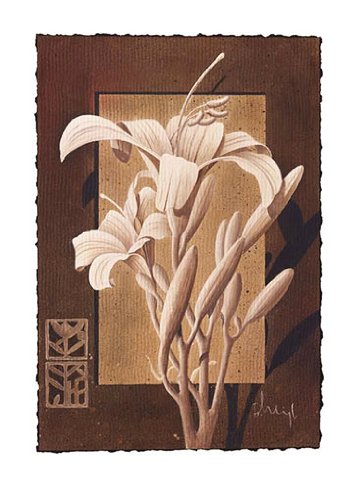 Eurographics FH1099 Franz Heigl, Lily Simphony 50 x 70 cm, Hochwertiger Kunstdruck - Lilie Preisvergleich