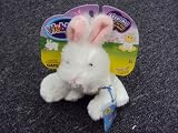 Webkinz Easter White Rabbit Special Edition Sealed Code