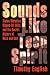 Sounds Like Teen Spirit: Stolen Melodies, Ripped-Off Riffs, and the Secret History of Rock and Roll
