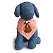 Tail Trends Thanksgiving Turkey Dog Bandana with Designer Applique 100% Cotton (Medium)