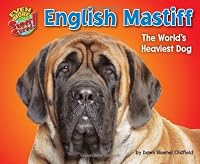 English Mastiff: The World's Heaviest Dog (Even More Supersized!)