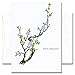 Sympathy Cards: Blooming Branch - Box of 10 Cards & env Made in USA by CroninCards