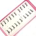 Hot HS-33 10 pairs/lot Half/Mini/Corner Winged False eyelashes Cute eye lashes