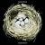 Nests