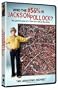 Who the #$&% Is Jackson Pollock?