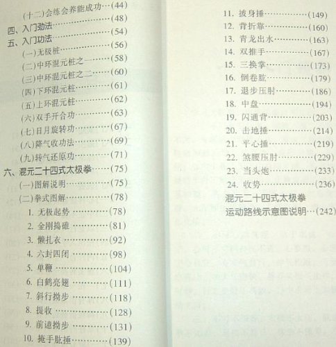 陳式太極拳入門　馮　志強