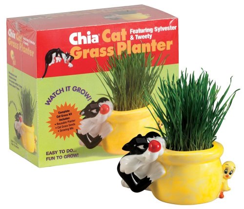 Chia Cat Grass Planter Featuring Sylvester & Tweety, 1 Kit