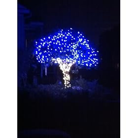Good Tidings LED G12 Raspberry Christmas Light Sets