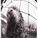 Vs. Expanded Edition (3 Bonus Tracks)