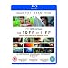 The Tree of Life [Reino Unido] [Blu-ray]