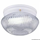 Buy 1 Light Close to Ceiling Fluorescent by Sea Gull Lighting