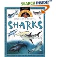 Question Time: Sharks (Question Time) by  Stephen P. Savage and Stephen Savage