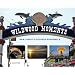 Wildwood Moments: New Jersey's Beloved Boardwalk