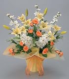 ���G�}�A�[�g�t�����[�@�`�P�T�O�V�|�V�O