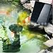 Solar Powered Pump Water Features for Pond Pool Fountain