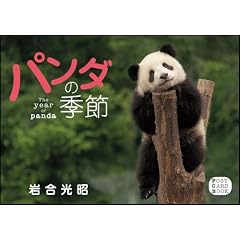 �p���_�̋G��-POSTCARD- (POST CARD BOOK)