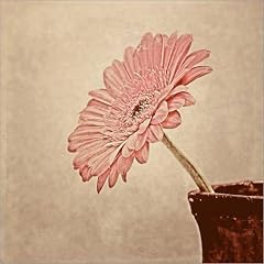 Leinwandbild 70 x 70 cm - "Altes Foto" von Novemberkind - auch in anderen Gr��en und als Poster erh�ltlich