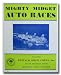 1950 Buffalo Stadium Poster Print