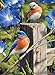 Buffalo Games Hautman Brothers, Garden Gate Bluebirds - 1000pc Jigsaw Puzzle
